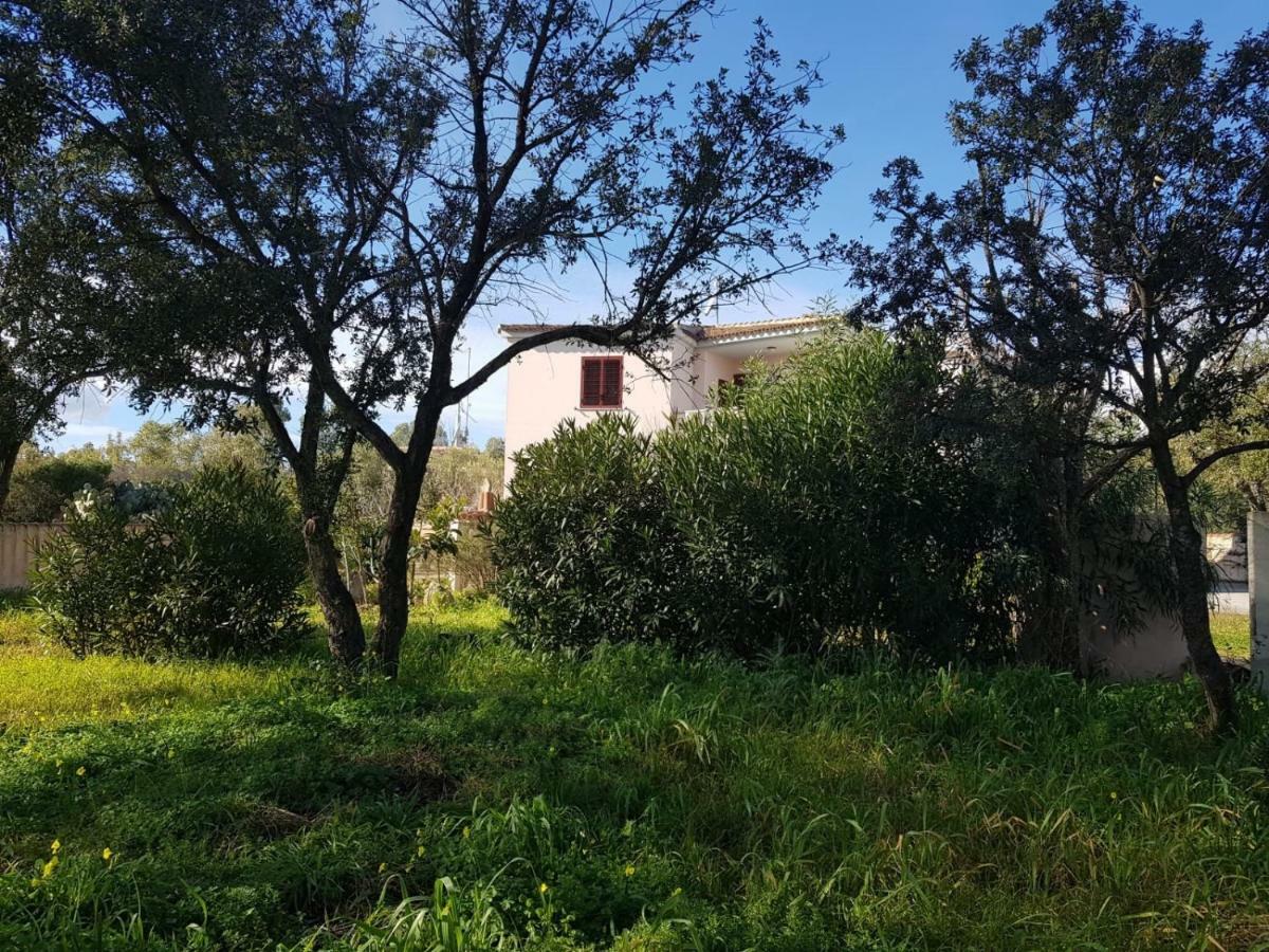 Mimosa Bilocale Cala Liberotto Exterior photo