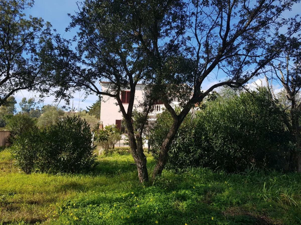 Mimosa Bilocale Cala Liberotto Exterior photo